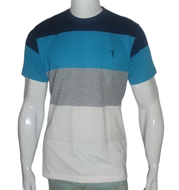 Camiseta Aleatory Masculina