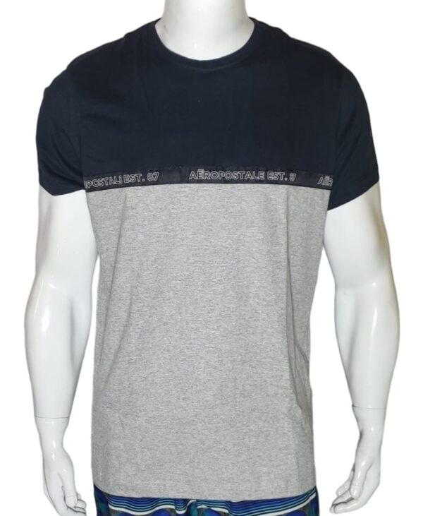 Camiseta Aeropostale Masculina