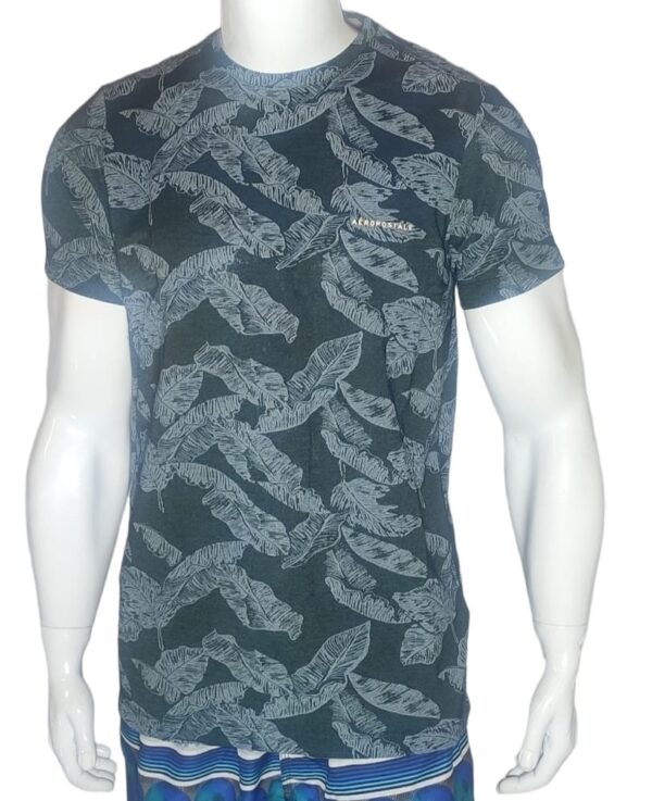 Camiseta Aeropostale Masculina